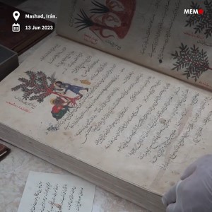 Libro de una biblioteca Iraní