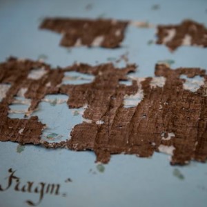 Papiro calcinado